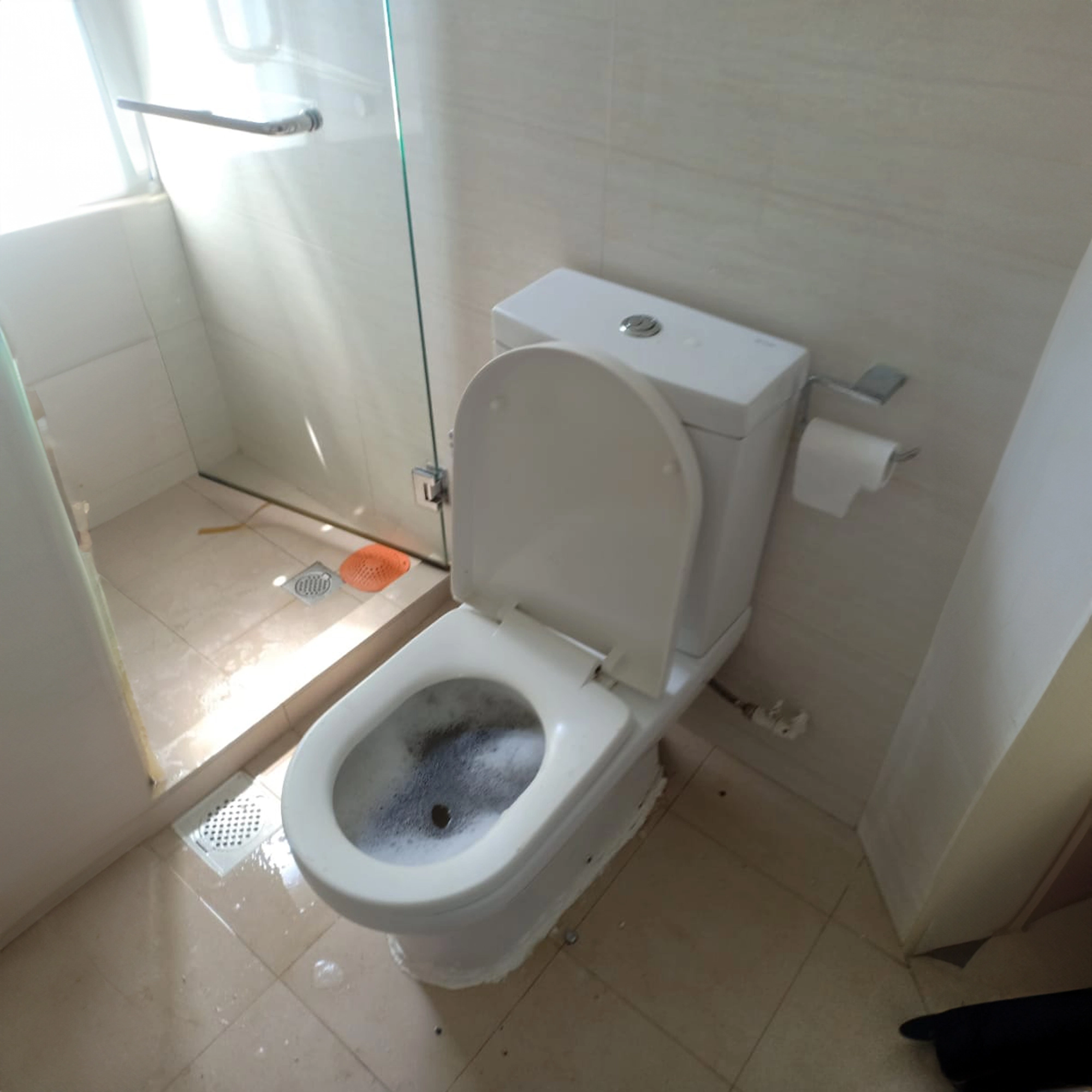 Clogged toilet bowl, on the verge of overflowing